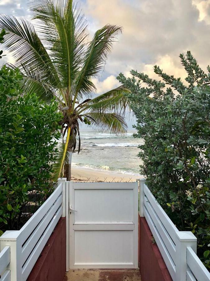 Appartement Au Bord de Mer Le Moule Exterior foto